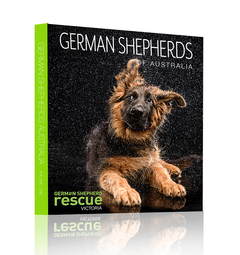 Home German Shepherds of Australia